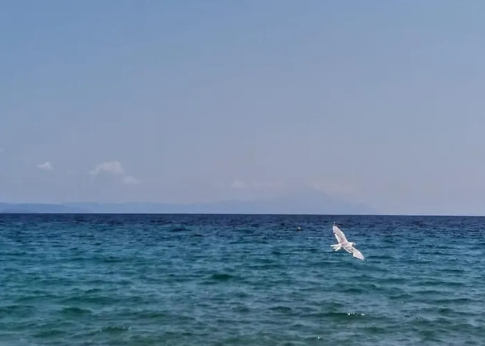 Apartamento Marianthi's Stone House- Studio2